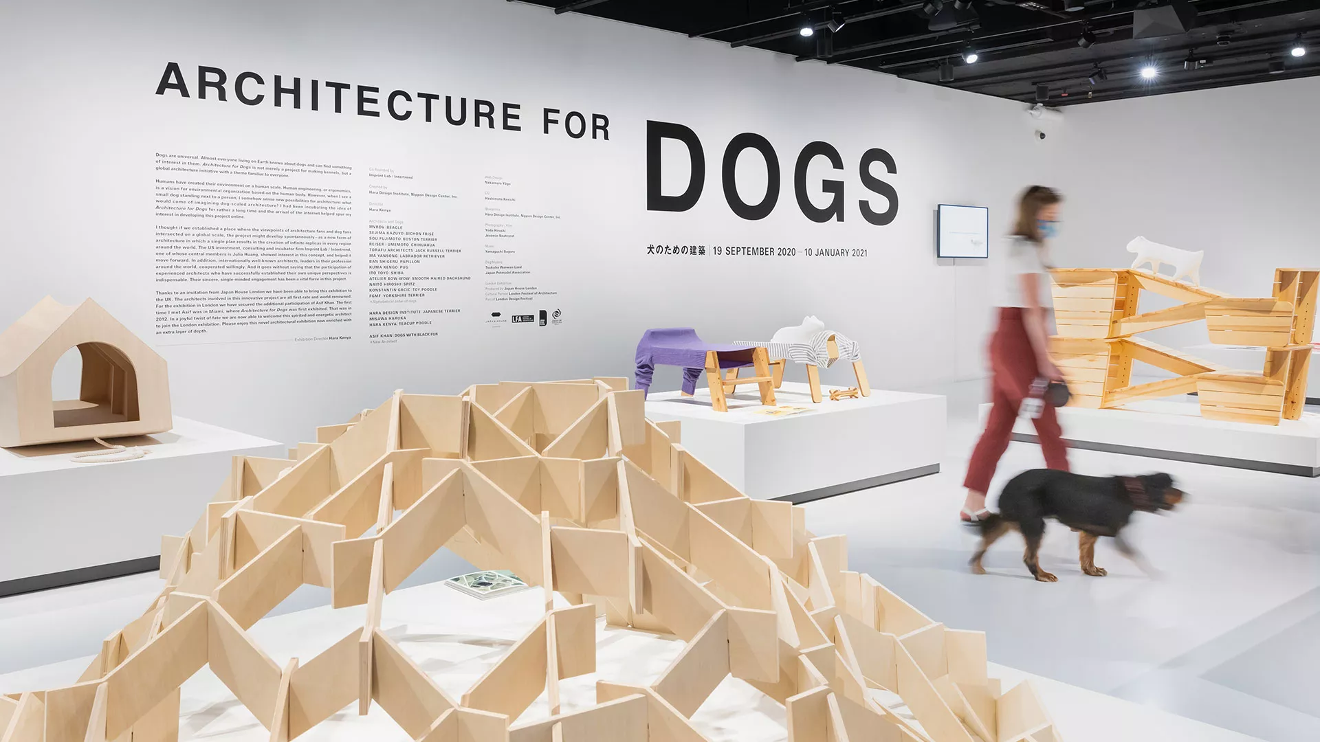 Architecture for Dogs product category