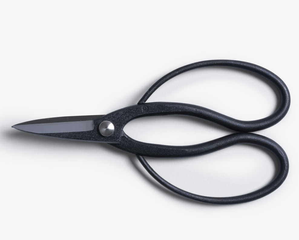 SUWADA Bonsai Scissors 321001