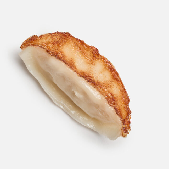 A food replica gyoza magnet