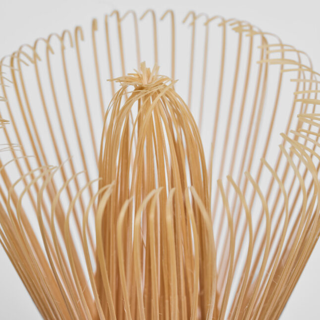 Spines of matcha whisk from Japan House London