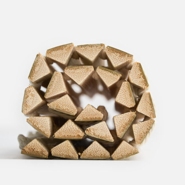 The triangular profile of the bamboo segments of the oni sudare rolling mat from Japan House London