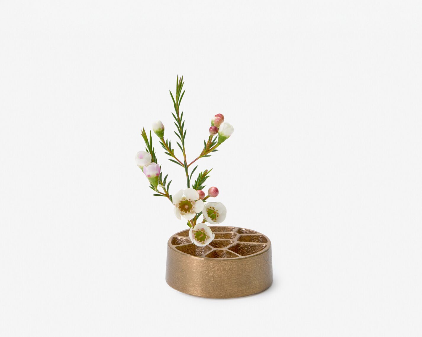 A small branch with white and pink flowers held in a kenzan, flower frog