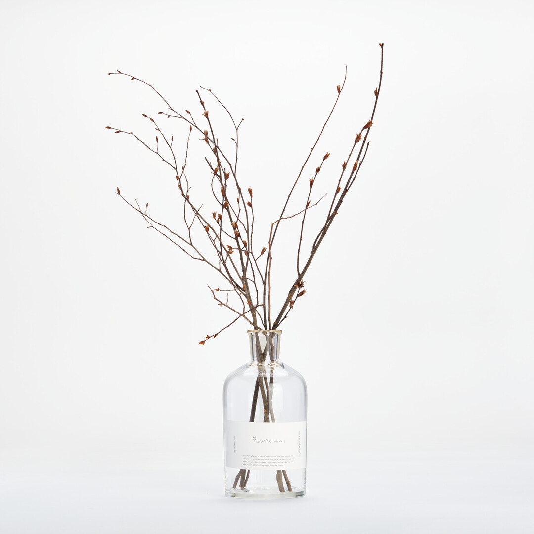 Wooden Branch Diffuser