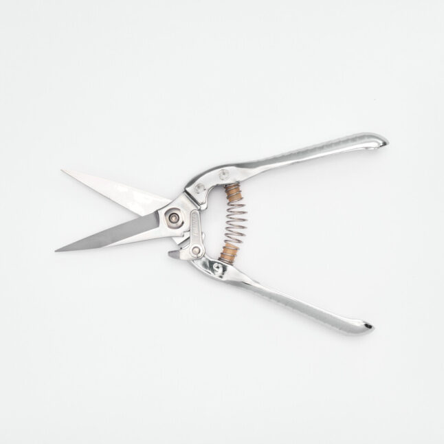 Open straight blade flower shears