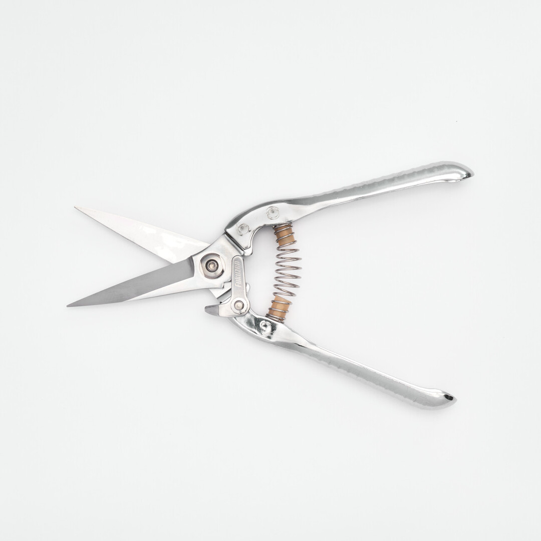 Open straight blade flower shears