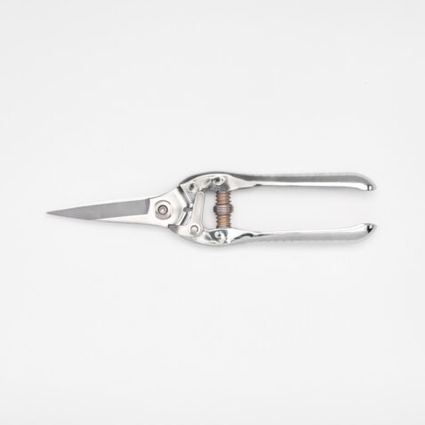 Closed straight blade flower shears