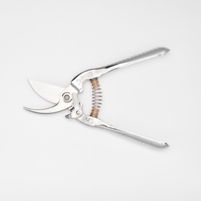 Open small fruit tree shears