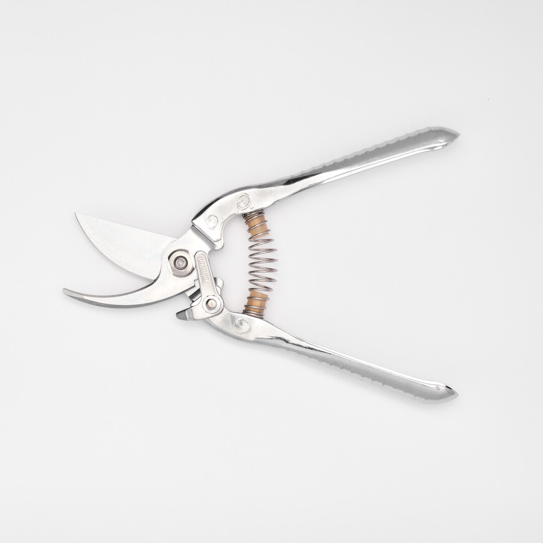 Open small fruit tree shears
