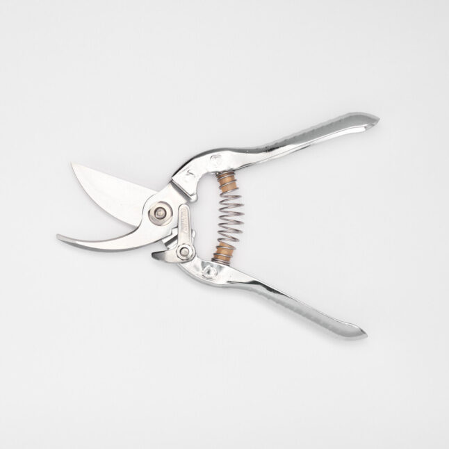 Open medium fruit tree shears