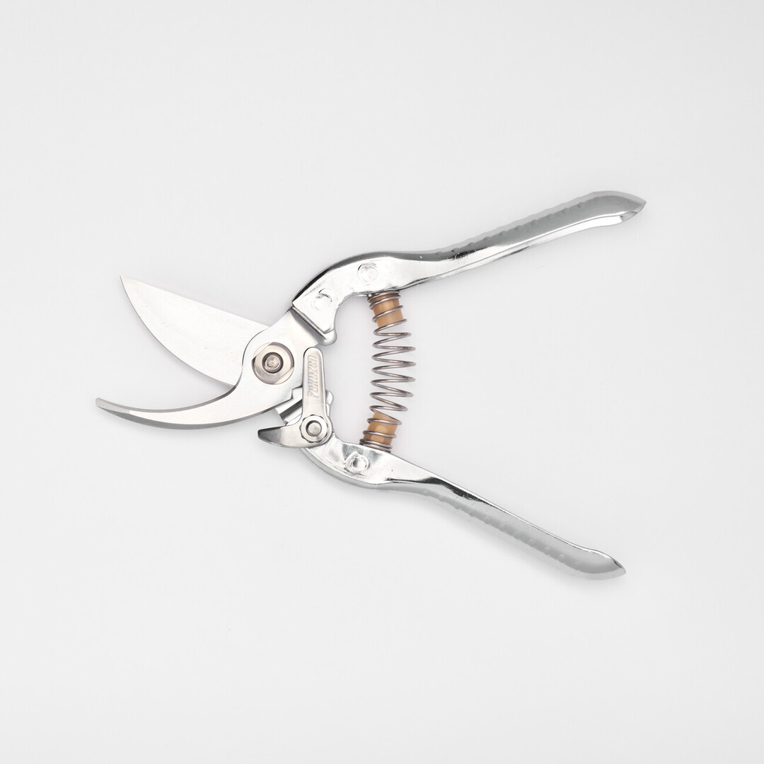 Open medium fruit tree shears
