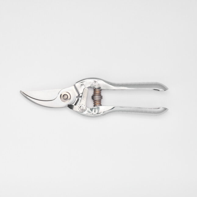 Closed medium fruit tree shears