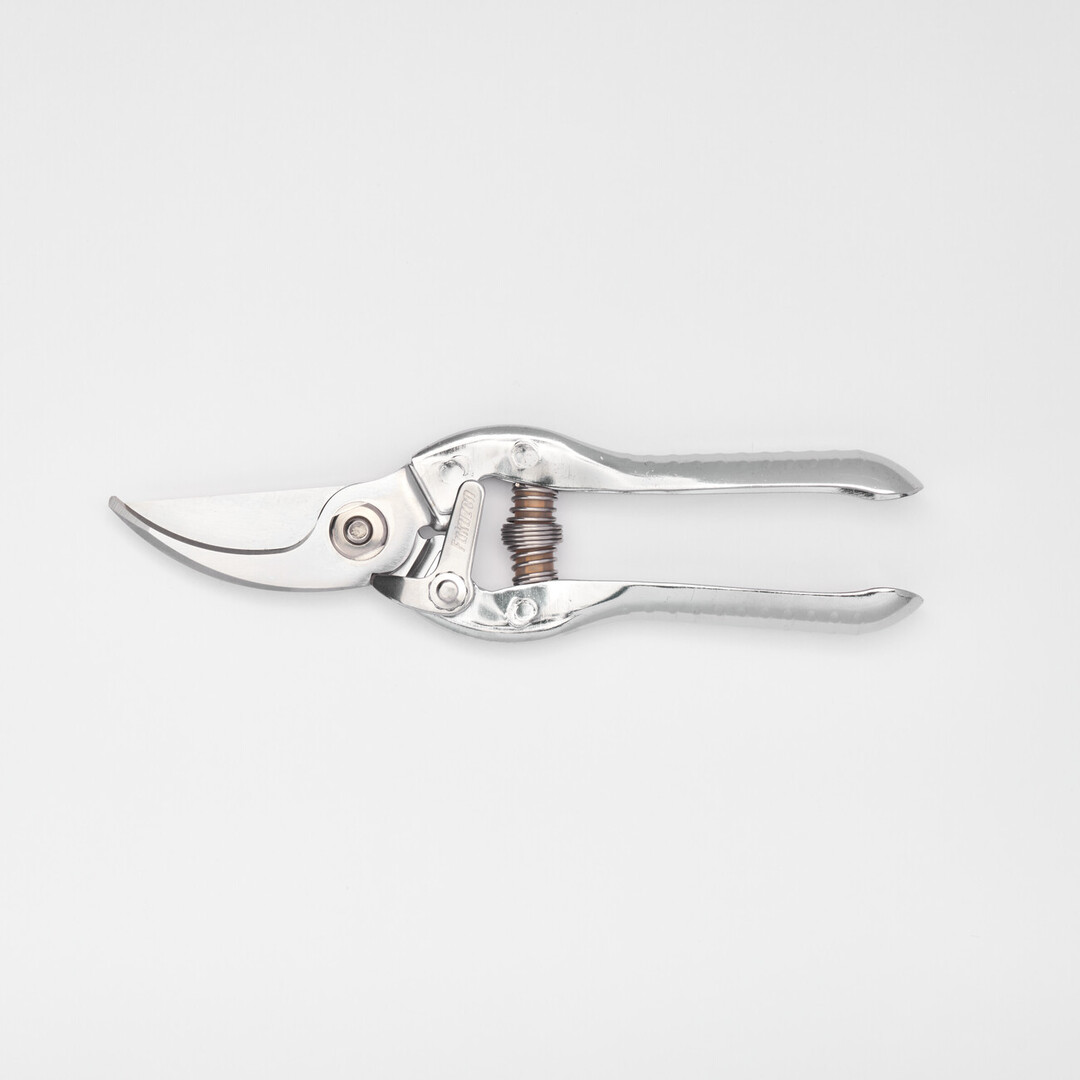 Fruit Tree Pruning Shears