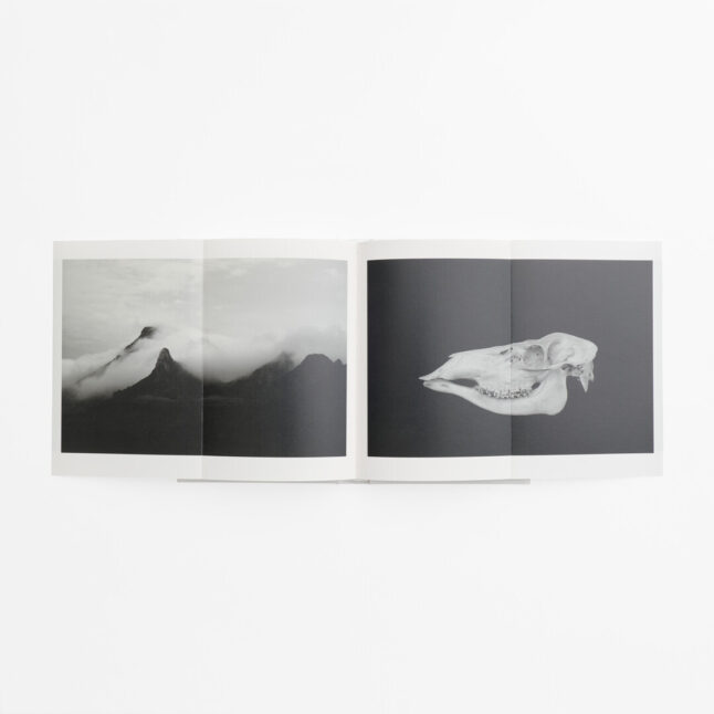 An open spread of the book 100 Whites by Hara Kenya with white pages and black and white photography