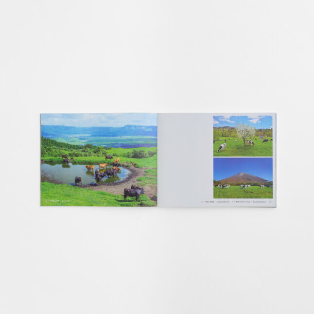 A page spread with three photographs of paddy fields
