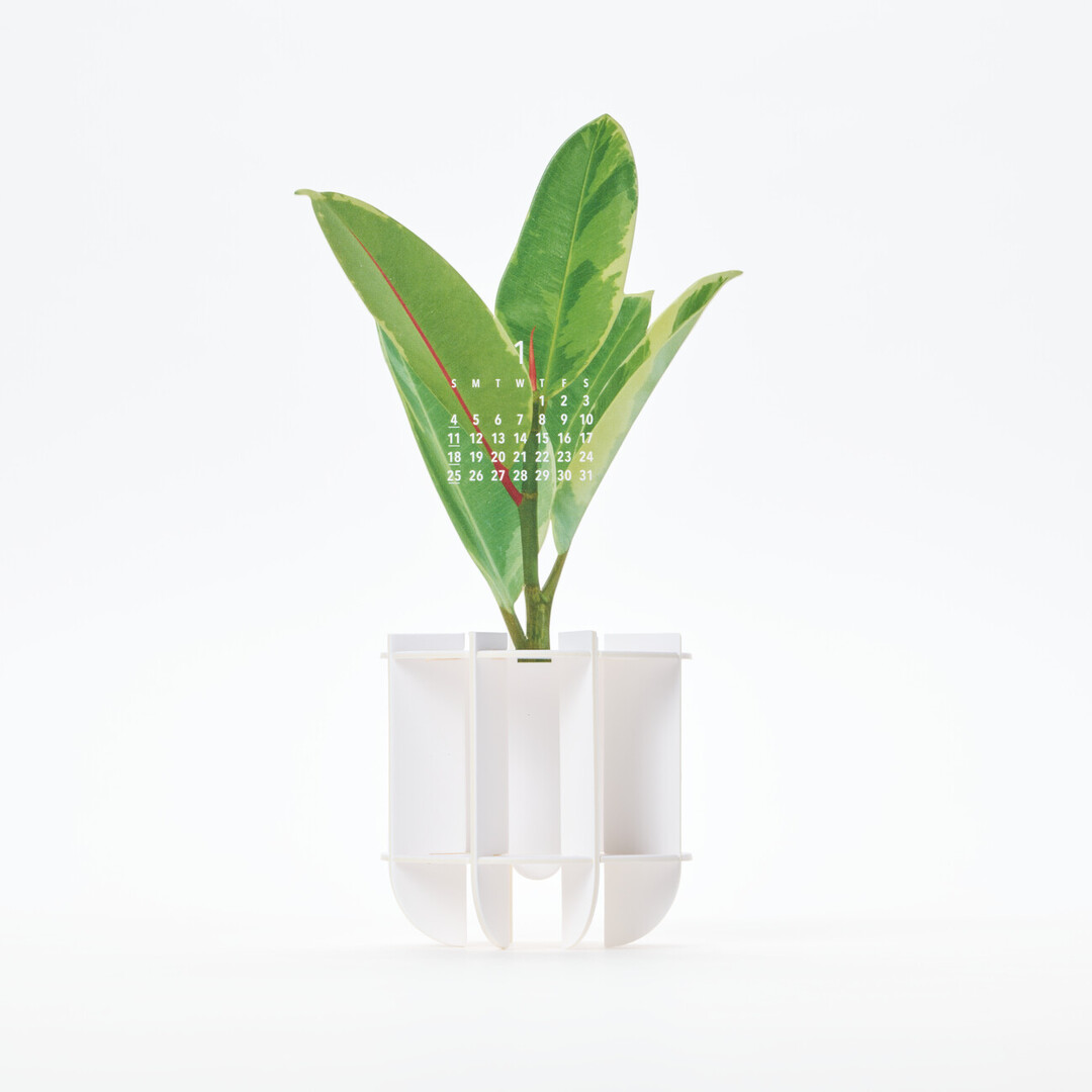 A three dimensional paper calendar in the shape of potted plant showing January from Japan House London