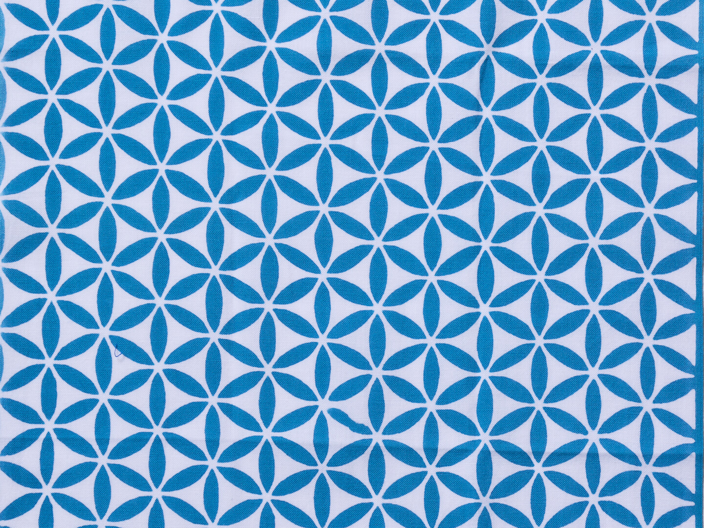 The kawari shippo pattern in blue of thin oval shapes in a star formation repeated by Kamawanu from Japan House London.