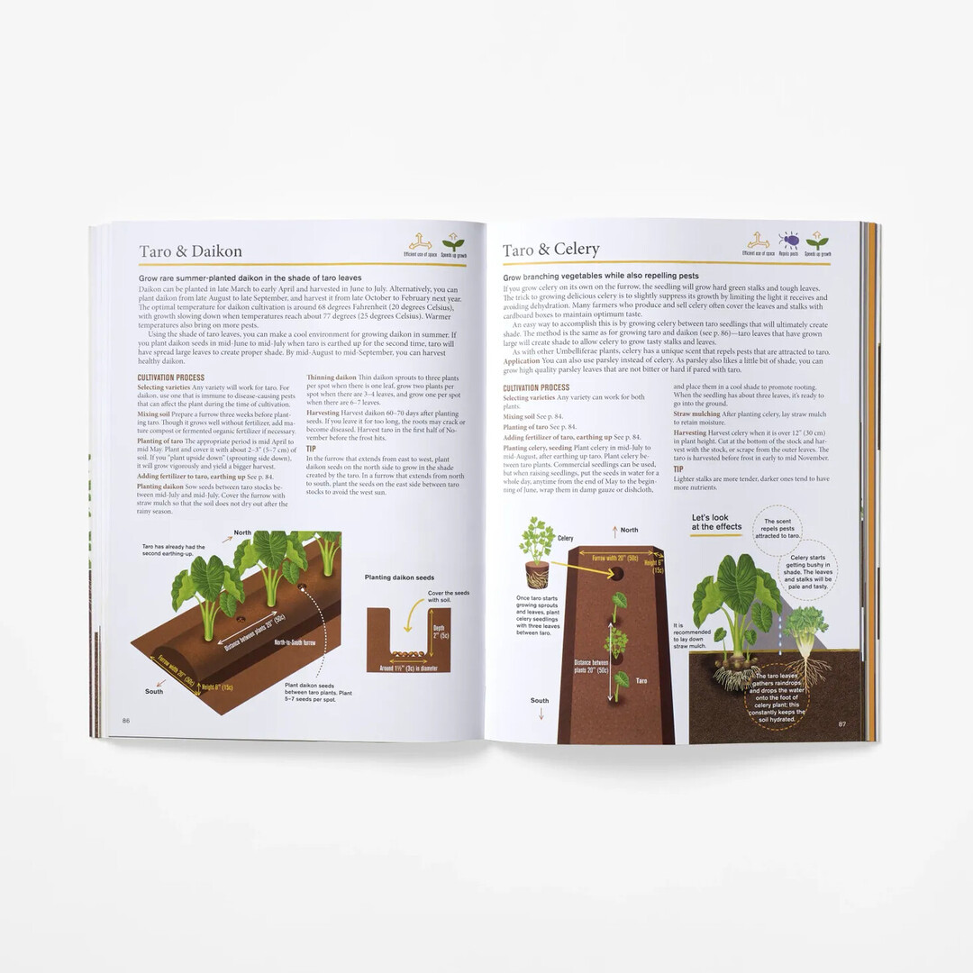 A spread with planting instructions from Japanese Style Companion Planting by Kijima Toshio from Japan House London.