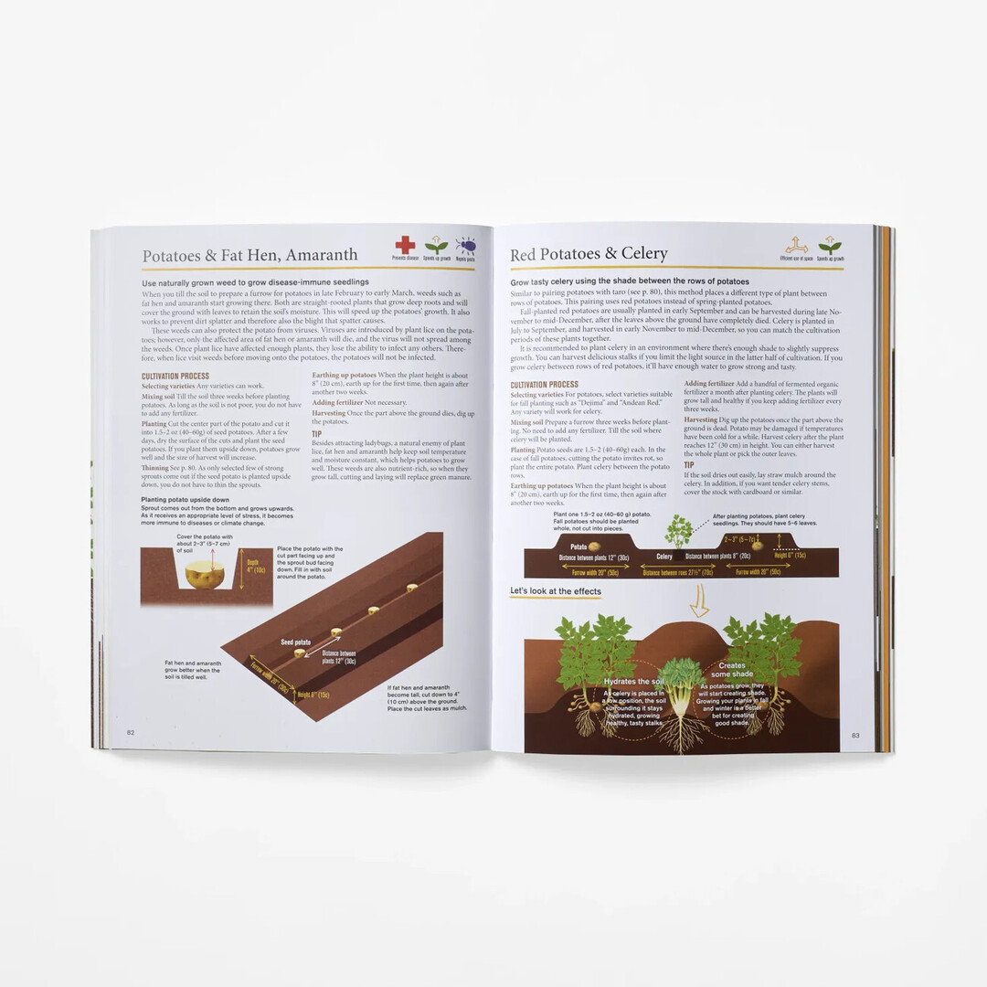 A spread with planting instructions from Japanese Style Companion Planting by Kijima Toshio from Japan House London.