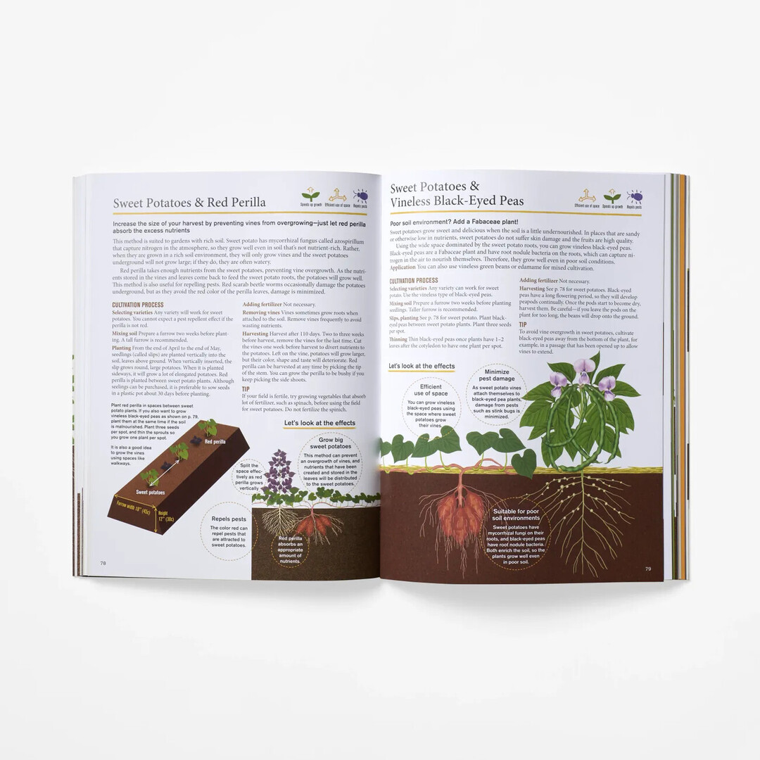 A spread with planting instructions from Japanese Style Companion Planting by Kijima Toshio from Japan House London.