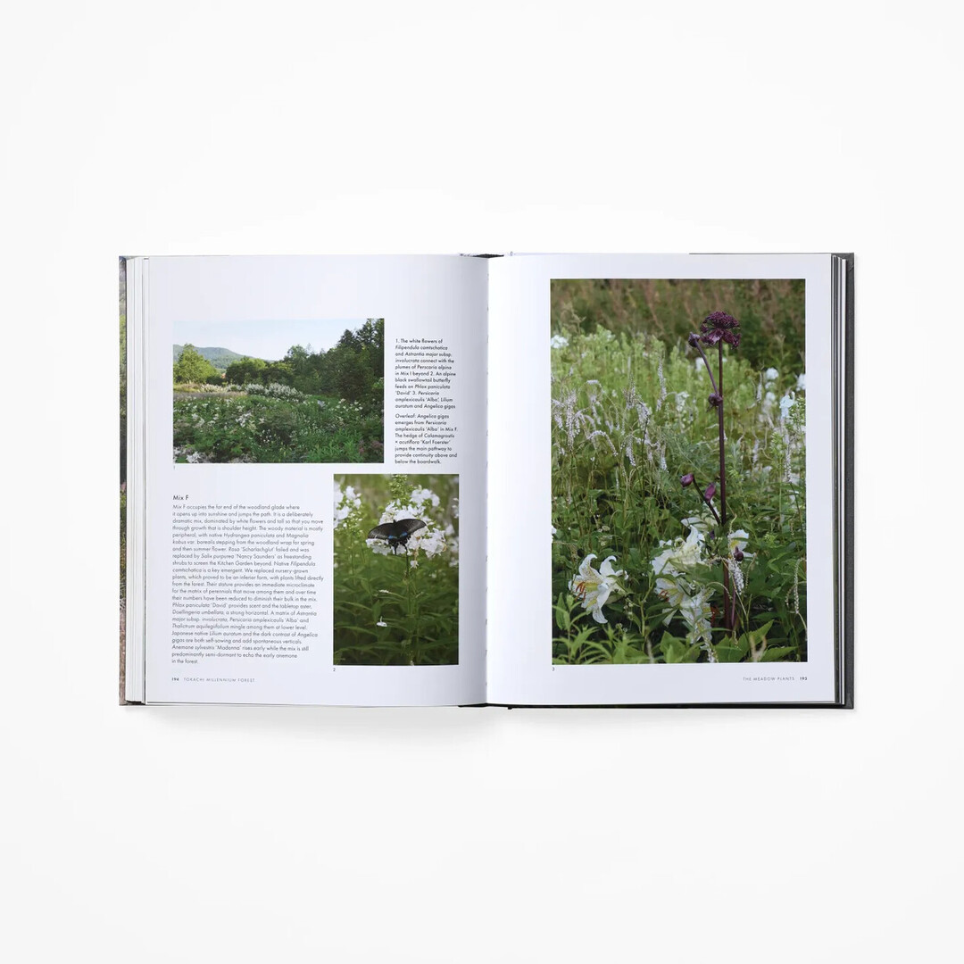 A spread of Tokachi Millennium Forest with images of the forest from Japan House London.
