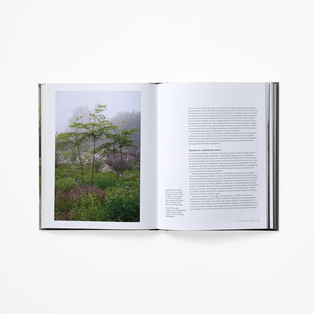 A spread of Tokachi Millennium Forest with images of the forest from Japan House London.
