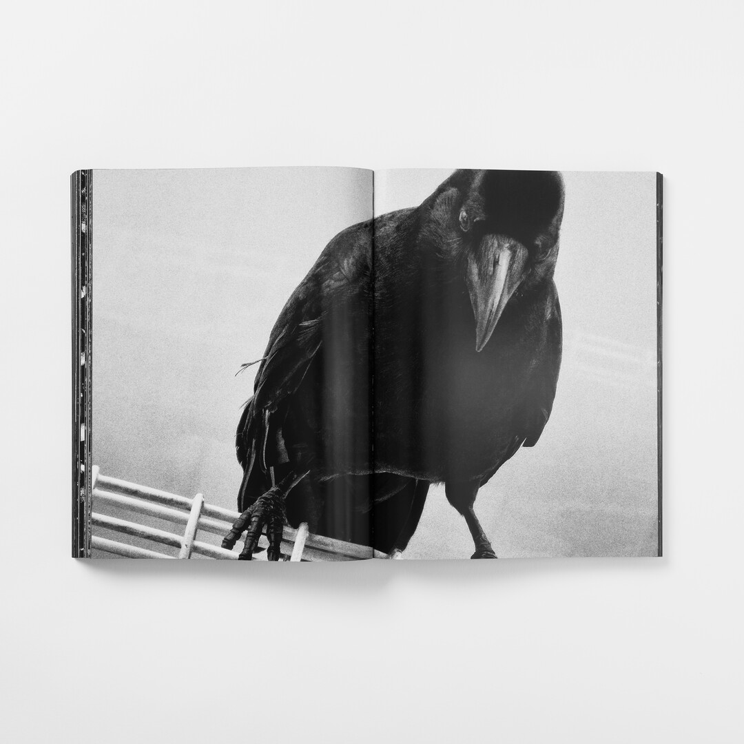 A spread with black and white photography by Moriyama Daidō from his book Record 2 from Japan House London.