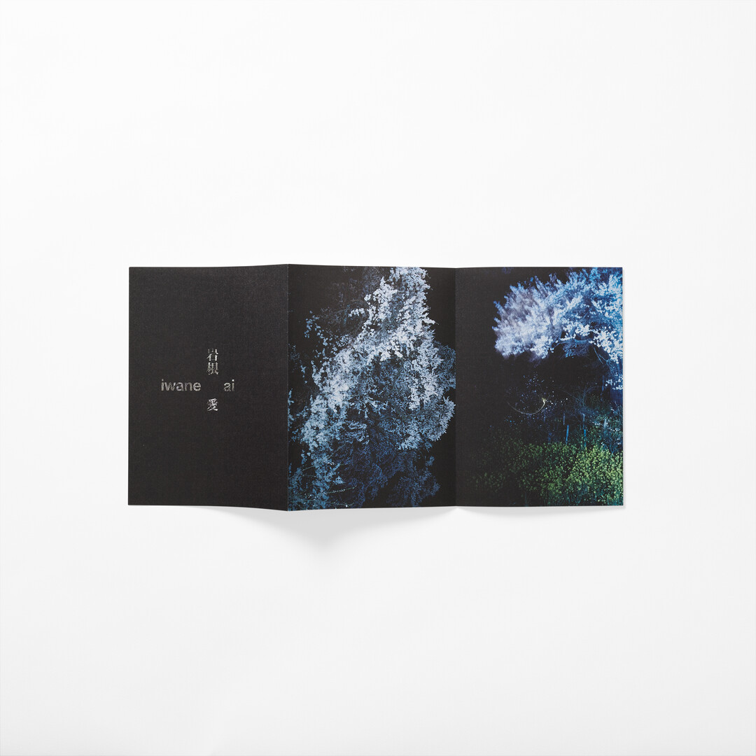 Iwane Ai's photography work on a long folded booklet from Japan House London.