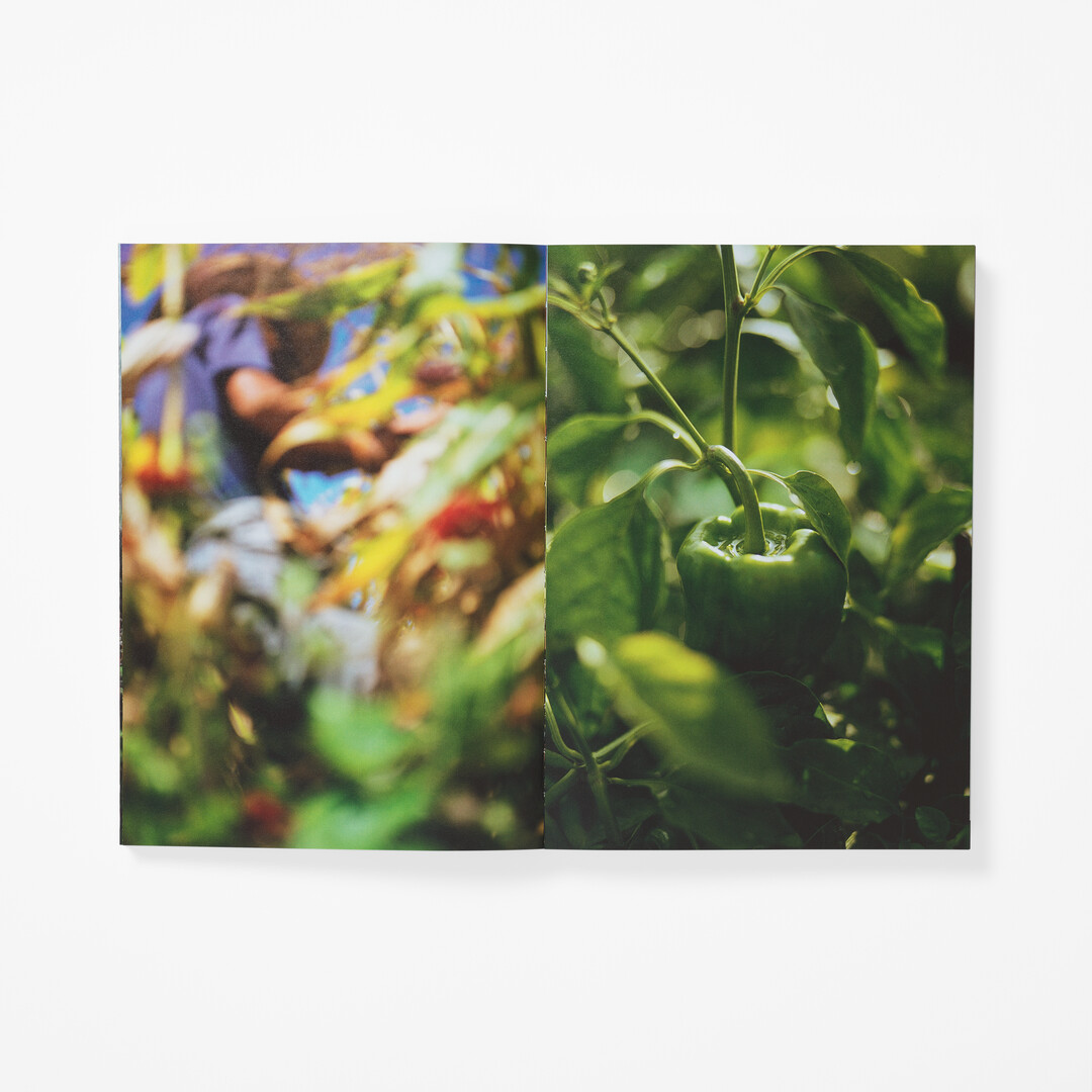 The spread of two photographs from book KG＋SELECT: 10 Years, 10 Artists from Japan House London.