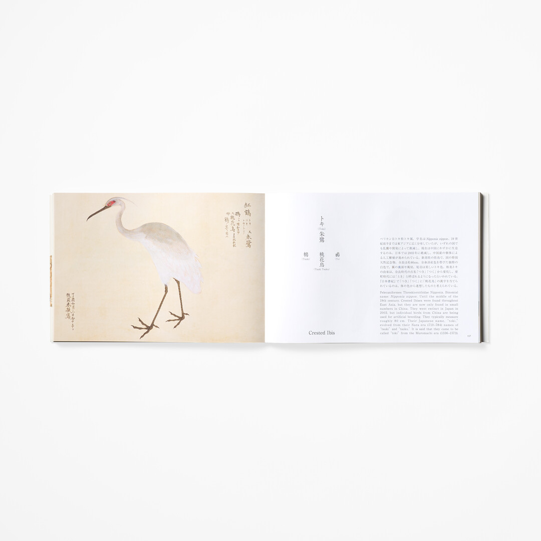 A spread of Birds of Edo by PIE International from Japan House London.