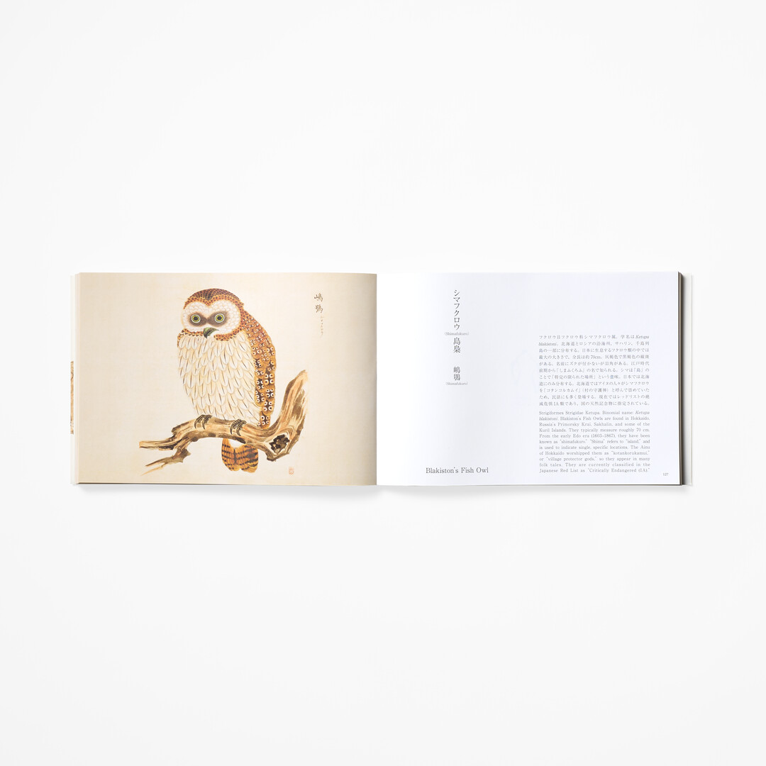 A spread of Birds of Edo by PIE International from Japan House London.