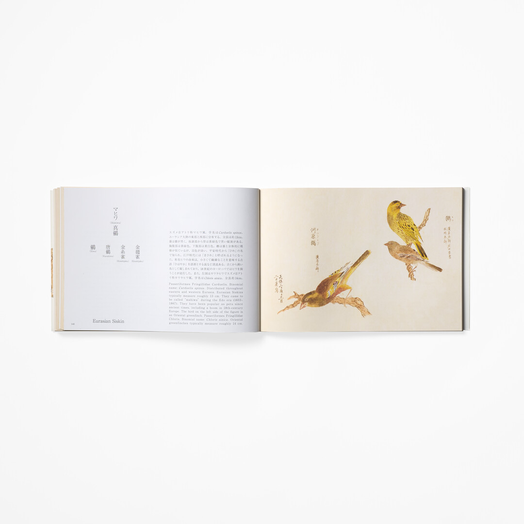 A spread of Birds of Edo by PIE International from Japan House London.