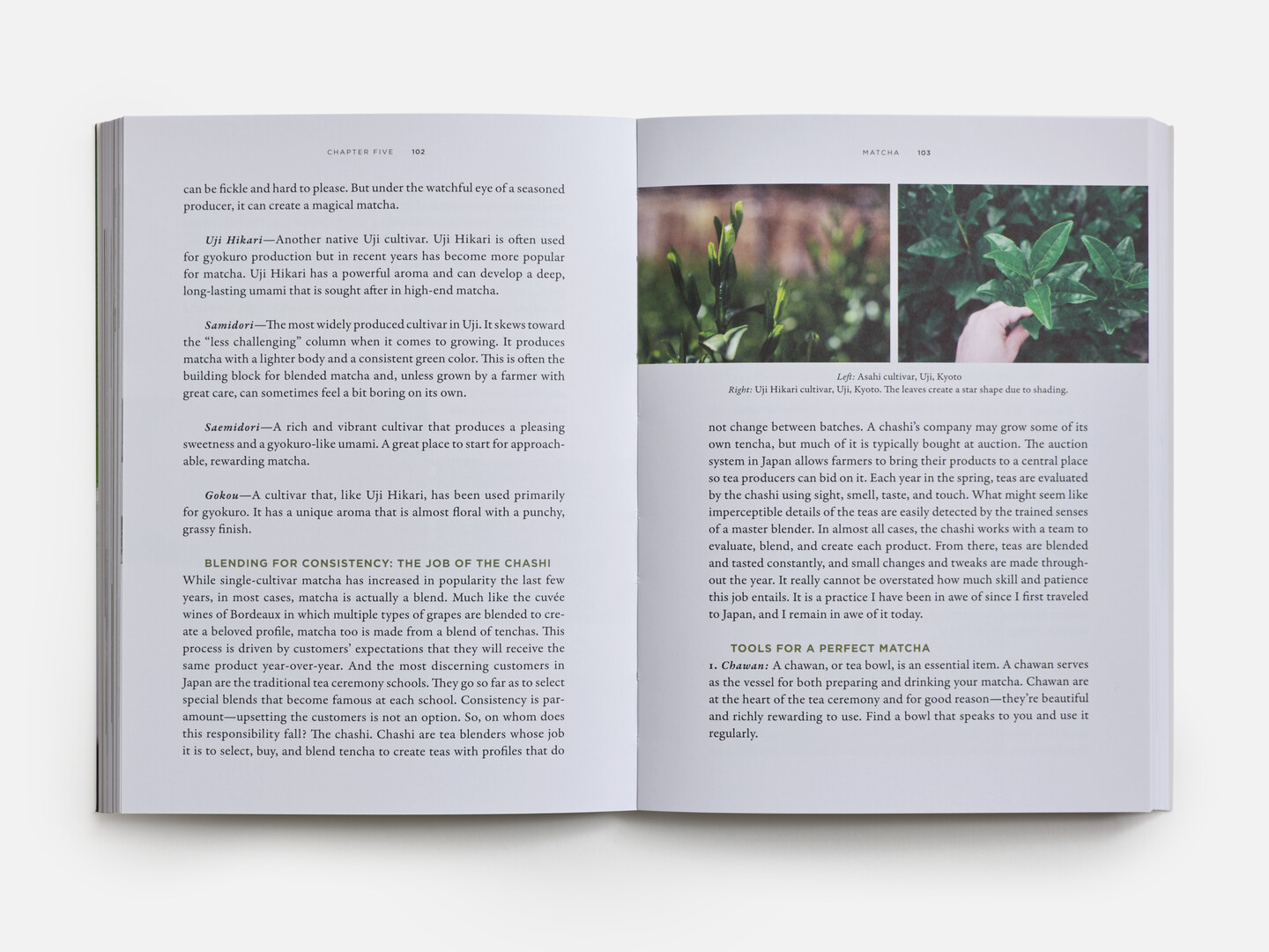 Spread of book Stories of Japanese Tea from Japan House London.